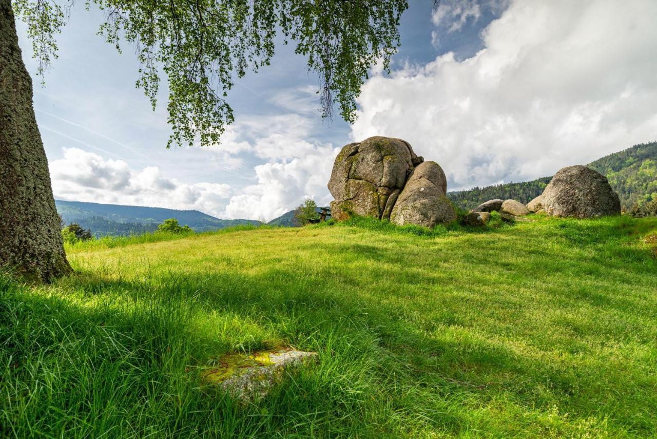 Bergblick Lejlighed Forbach Eksteriør billede